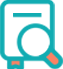 Search Icon